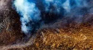 رفتن به جنگل ممنوع شد

