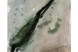 نگاهی به مفاهیم فیگور، فیگوراسیون و فیگوراتیو
