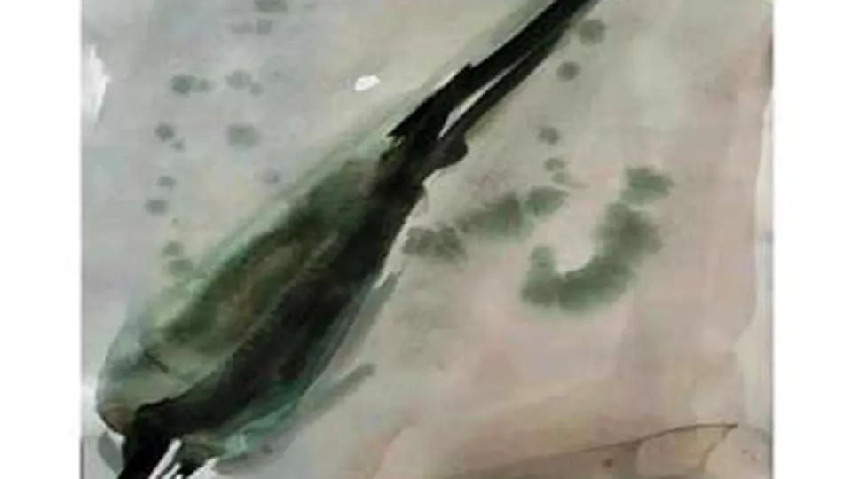 نگاهی به مفاهیم فیگور، فیگوراسیون و فیگوراتیو
