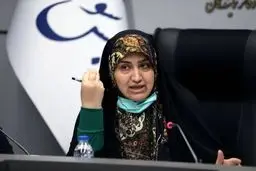 دلایل اصلی آلودگی هوا از نظر رئیس فراکسیون محیط زیست مجلس

