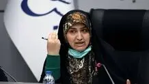 دلایل اصلی آلودگی هوا از نظر رئیس فراکسیون محیط زیست مجلس

