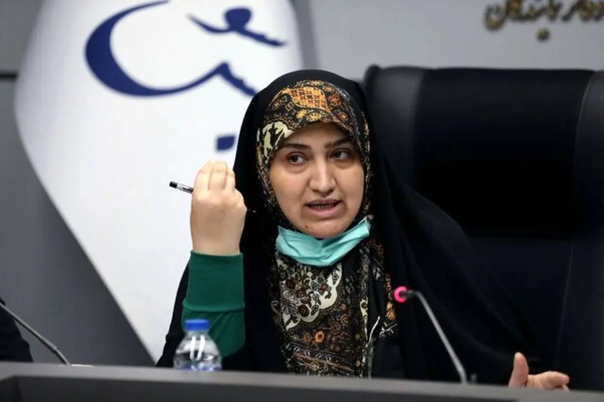 دلایل اصلی آلودگی هوا از نظر رئیس فراکسیون محیط زیست مجلس

