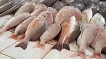 زنگ خطر دریا برای مازندران؛ ذخایر آبزیان رو به کاهش