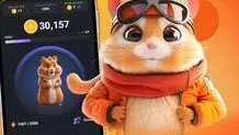 قیمت ارز همستر کامبت مشخص شد
