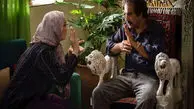 سورپرایز سازندگان پایتخت ۷ در روز پنج‌شنبه و جمعه
