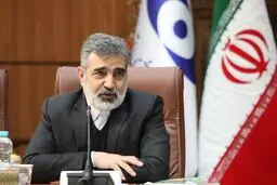 کمالوندی: تعهدات فراتر از پادمان را نپذیرفتیم