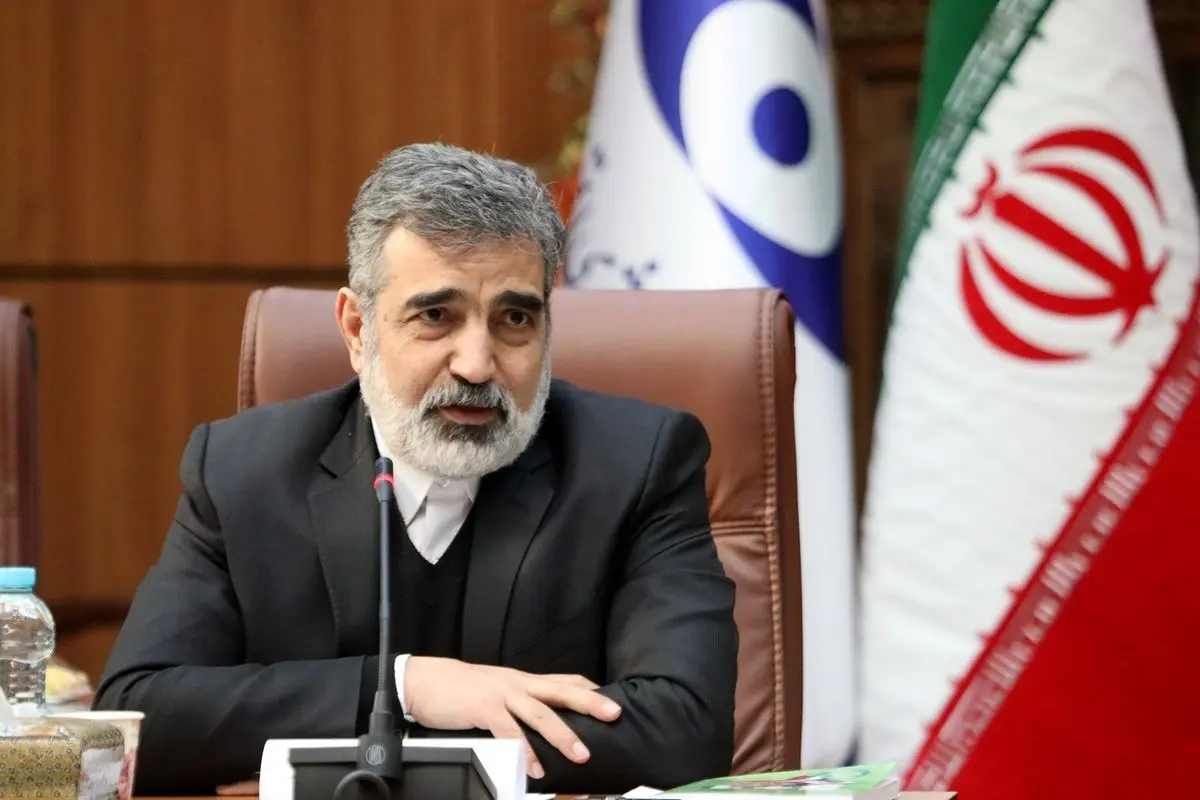 کمالوندی: تعهدات فراتر از پادمان را نپذیرفتیم