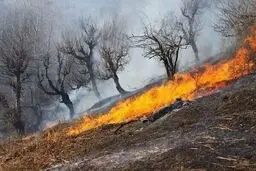 هشدار آتش‌سوزی در جنگل‌های مازندران