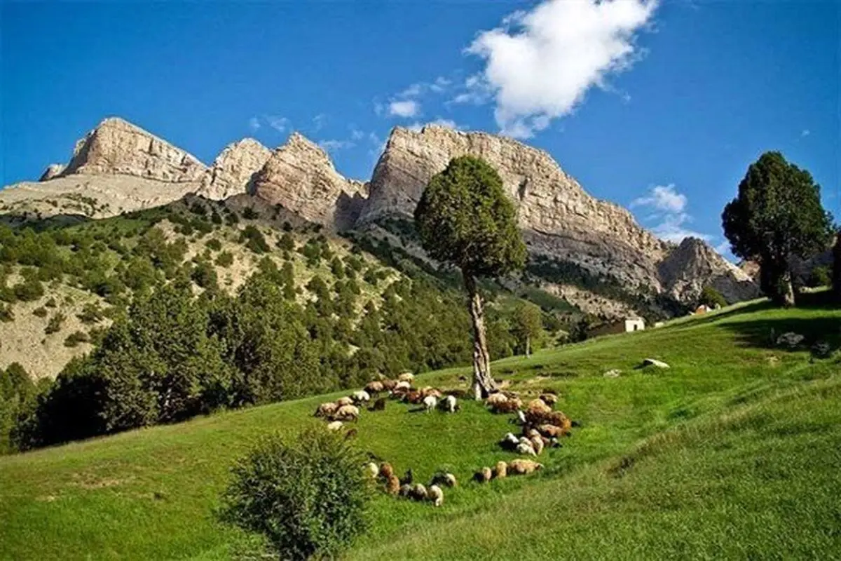 حمله به اندیشمک و شهادت یک نفر