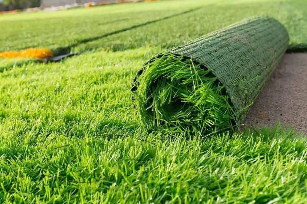 ‌چمن هیبریدی صدای تراکتوری‌ها  را  در‌آورد