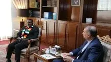 Iran, Zimbabwe stress expansion of economic ties