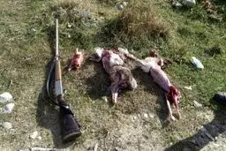 شکار بی‌رحمانه در دنا