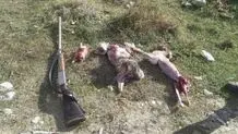 شکار بی‌رحمانه در دنا
