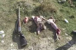 ثبت بیش از ۱۰۰۰ مورد شکار غیرمجاز در نوروز ۱۴۰۱ 