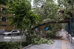 پیش بینی هوای تهران سه شنبه 9 اردیبهشت 1404