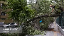 پیش بینی هوای تهران سه شنبه 9 اردیبهشت 1404