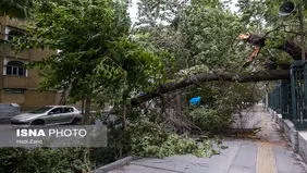 پیش بینی هوای تهران سه شنبه 9 اردیبهشت 1404