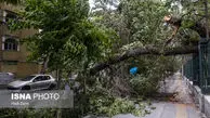 پیش بینی هوای تهران سه شنبه 9 اردیبهشت 1404
