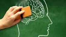 جلوگیری از آلزایمر با یک عادت ساده
