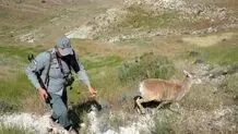 حکم اعدام برای محیط‌بان کرمانی