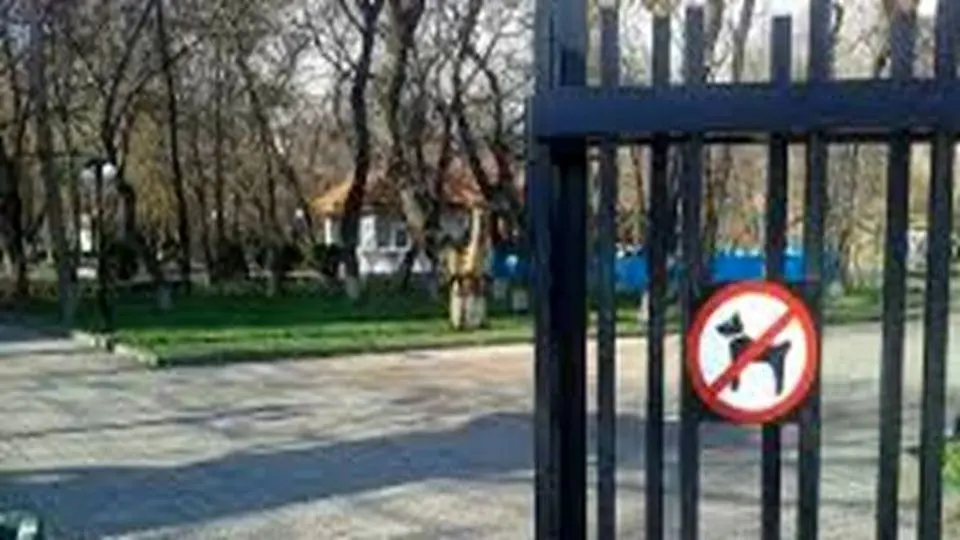 ورود سگ‌ها به پارک‌ها ممنوع شد