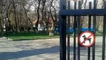 ورود سگ‌ها به پارک‌ها ممنوع شد