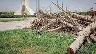 شهرداری درختان میدان آزادی را قطع کرد/ دلیل عجیب یک مسئول + عکس  