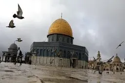مشارکة 200 فنان من 48 دولة فی مهرجان الکاریکاتیر لیوم القدس