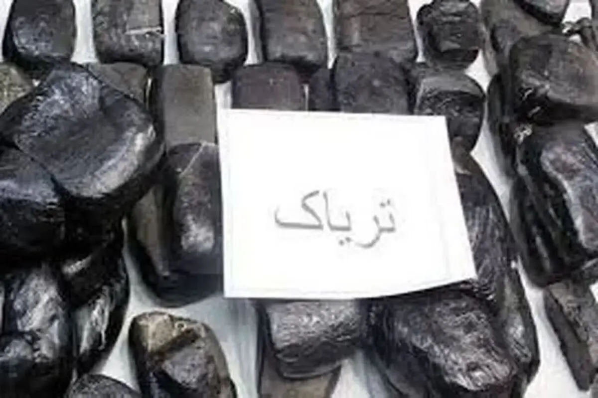 قاچاقچی ۱۲ کیلویی تریاک در ملارد دستگیر شد