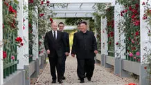 China, Russia move forward hand-in-hand: Xi to Putin