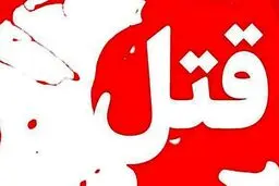 جزئیات جدید از جنایت خانوادگی ولنجک/ پلیس پایتخت اطلاعیه صادر کرد