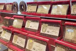 قیمت سکه پارسیان امروز چهارشنبه ۱۷ تیر ۱۴۰۵ / سکه ۵۰۰ سوتی چند ؟ + جدول 