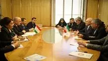 دیدار روسای مجالس ایران و فنلاند

