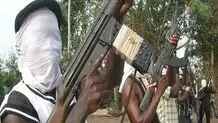 Nigerian troops kill scores of gunmen in northern state