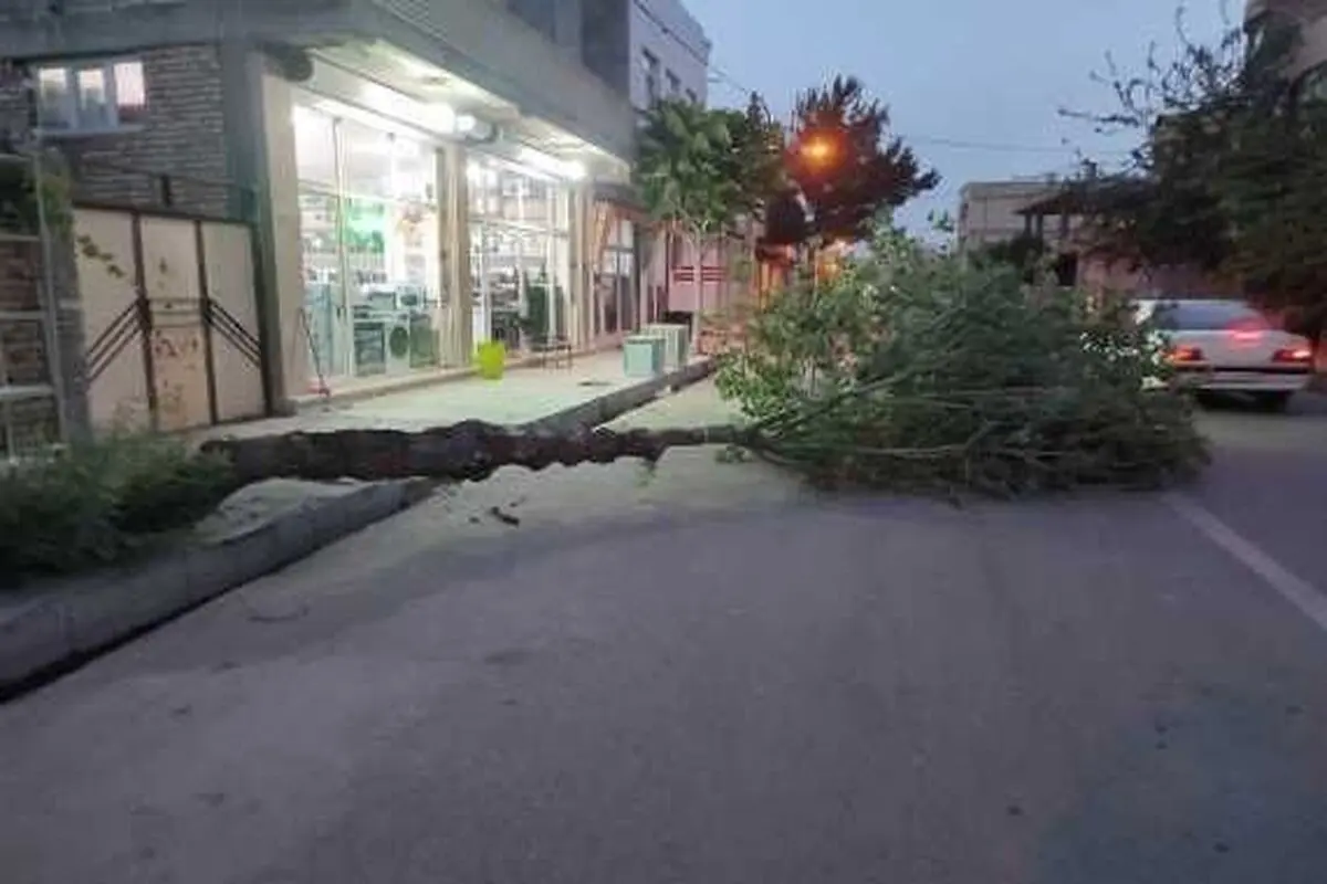 طوفان و تندباد در جویبار 