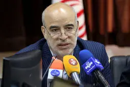 مجلس از ورود محصولات بومی محلی به بازار تجارت الکترونیک ایران استقبال می‌کند