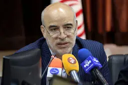 مجلس از ورود محصولات بومی محلی به بازار تجارت الکترونیک ایران استقبال می‌کند