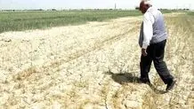سودای کوچ کشاورزان
