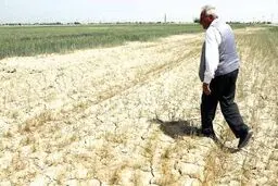 سودای کوچ کشاورزان
