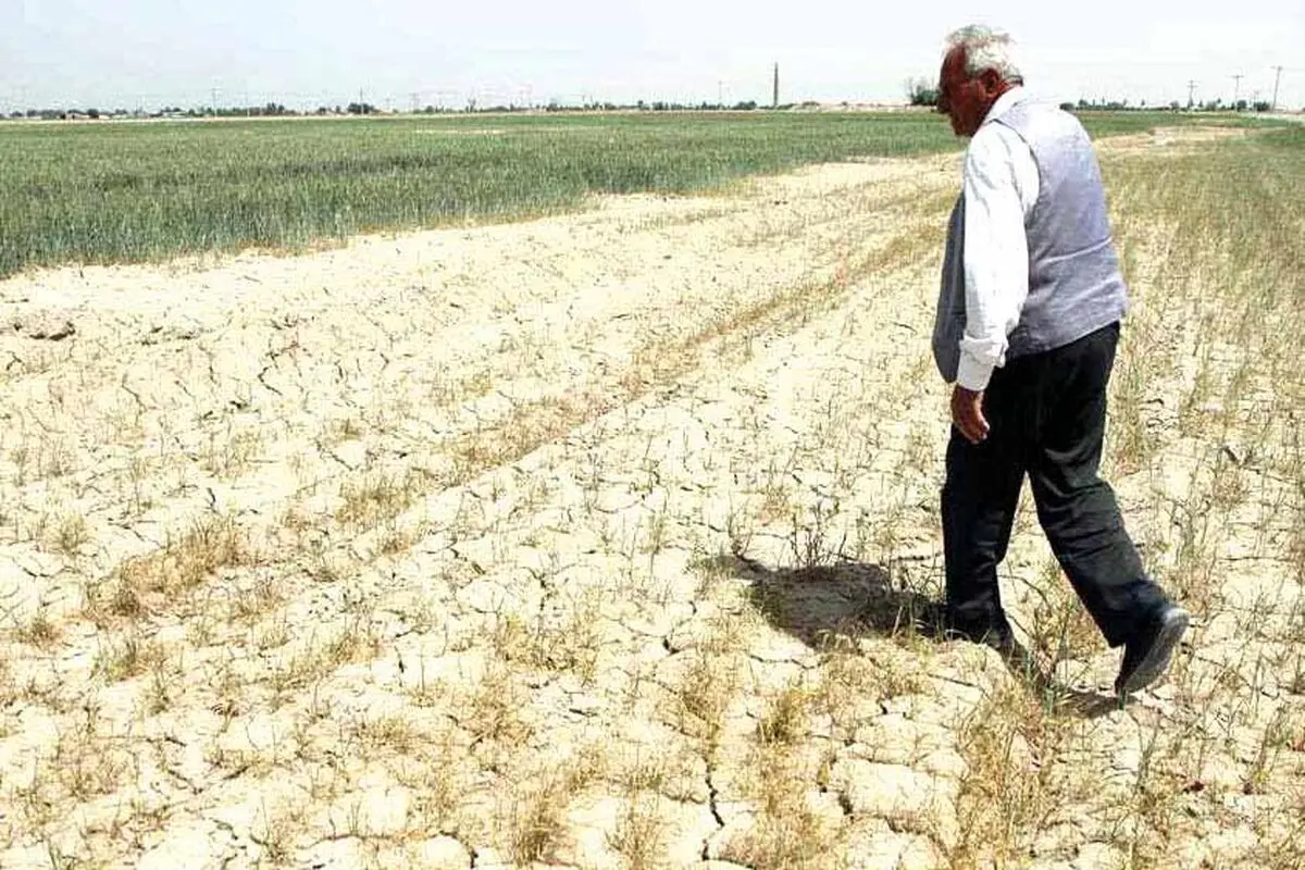 سودای کوچ کشاورزان
