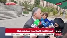 قیمت بنزین مجددا افزایش می‌یابد؟/ وزیر نفت پاسخ داد + ویدیو