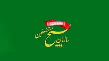 بسیج ایران در کدام کشورها فعالیت دارد؟