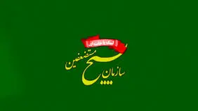 بسیج ایران در کدام کشورها فعالیت دارد؟