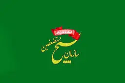 بسیج ایران در کدام کشورها فعالیت دارد؟