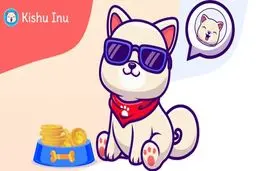 ارز دیجیتال Kishu Inu چیست؟ 