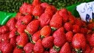 قیمت توت فرنگی در بازار به 120 هزار تومان رسید