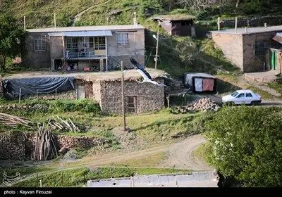 همزیستی لک‌لک‌ها و انسان در روستای دره‌تفی - کردستان