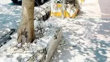 از پلمب تا پاتوق‌زدایی