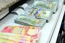 بازداشت مدیران فراری یک شرکت پتروشیمی

