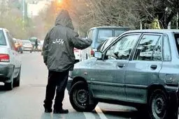 مجوز پلیس برای فعالیت دوباره پارکبان‌ها